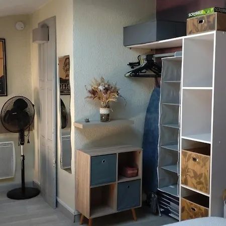 Joli Duplex-mezzanine A Amelie-les-bains Apartment