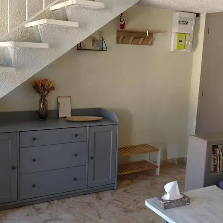 Joli Duplex-mezzanine A Amelie-les-bains Apartment *