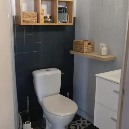 Apartment Joli Duplex-mezzanine A Amelie-les-bains *