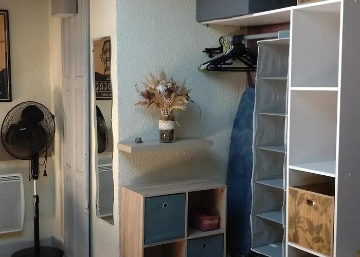 Joli Duplex-mezzanine à Amélie-les-bains Apartamento