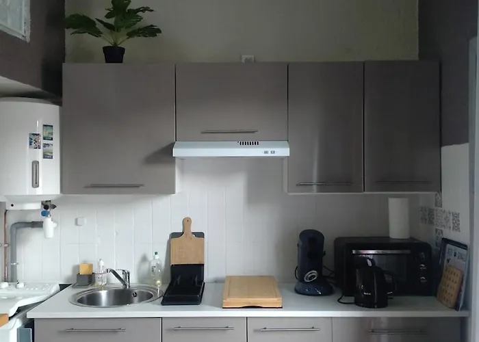 Apartamento Joli Duplex-mezzanine à Amélie-les-bains