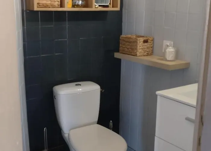 Apartamento Joli Duplex-mezzanine à Amélie-les-bains *